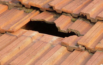 roof repair Elston