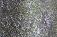 Elston fibreglass roof work